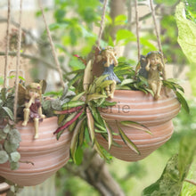 Load image into Gallery viewer, Luke, Leah and Han Garden Decoration set