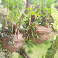 Load image into Gallery viewer, Luke, Leah and Han Garden Decoration set