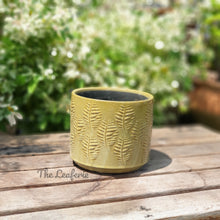 Load image into Gallery viewer, The Leaferie Aswan plant pot . green ceramic planter. front view .