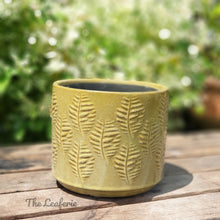 Load image into Gallery viewer, The Leaferie Aswan plant pot . green ceramic planter. front view . close up
