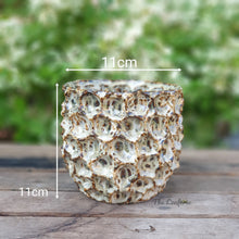 Load image into Gallery viewer, Gyala Flowerpot