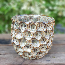 Load image into Gallery viewer, The Leaferie Gyala Planter. gold and blue colour