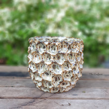 Load image into Gallery viewer, The Leaferie Gyala Planter. gold and blue colour
