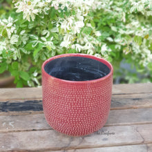 Load image into Gallery viewer, The Leaferie Carmel plant pot. sage and red ceramic flowerpot. front view of red pot
