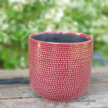 Load image into Gallery viewer, The Leaferie Carmel plant pot. sage and red ceramic flowerpot. front view of red pot