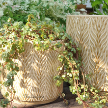 Load image into Gallery viewer, The Leaferie Nassau Flowerpot . 3 sizes. beige ceramic pot.