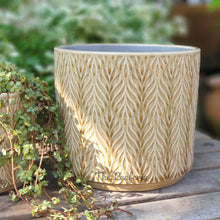 Load image into Gallery viewer, The Leaferie Nassau Flowerpot . 3 sizes. beige ceramic pot.