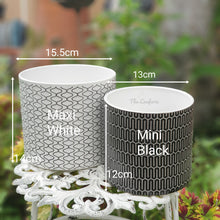 Load image into Gallery viewer, The Leaferie Harlequin pot. geometric black and white pot. 2 sizes and designs