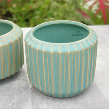 Load image into Gallery viewer, The Leaferie Alexandria pot Design B . top view