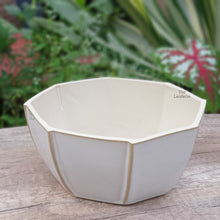 Load image into Gallery viewer, The Leaferie Rialto Shallow white pot. ceramic material