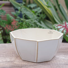 Load image into Gallery viewer, The Leaferie Rialto Shallow white pot. ceramic material