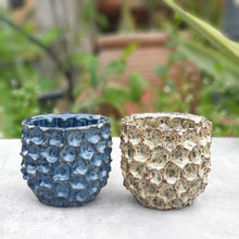 Load image into Gallery viewer, The Leaferie Gyala Planter. gold and blue colour