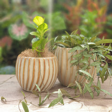 Load image into Gallery viewer, Verona Flowerpot