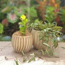 Load image into Gallery viewer, Verona Flowerpot