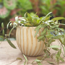 Load image into Gallery viewer, Verona Flowerpot
