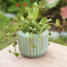 Load image into Gallery viewer, Alexandria Flowerpot