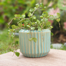 Load image into Gallery viewer, The Leaferie Alexandria pot Design B .front view