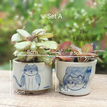 Load image into Gallery viewer, Nala Cat Flowerpot (Set of 2)