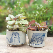 Load image into Gallery viewer, Nala Cat Flowerpot (Set of 2)