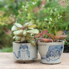 Load image into Gallery viewer, Nala Cat Flowerpot (Set of 2)