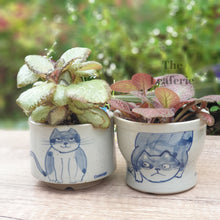 Load image into Gallery viewer, Nala Cat Flowerpot (Set of 2)