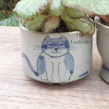 Load image into Gallery viewer, Nala Cat Flowerpot (Set of 2)