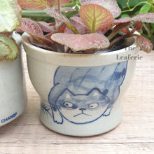 Load image into Gallery viewer, Nala Cat Flowerpot (Set of 2)