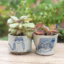 Load image into Gallery viewer, Nala Cat Flowerpot (Set of 2)