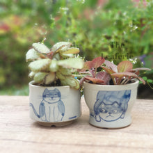 Load image into Gallery viewer, Nala Cat Flowerpot (Set of 2)