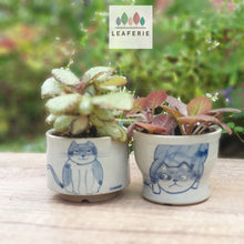 Load image into Gallery viewer, Nala Cat Flowerpot (Set of 2)