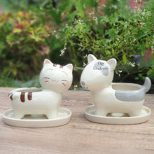 Load image into Gallery viewer, The Leaferie Simba Cat and dog Planter with tray. ceramic material