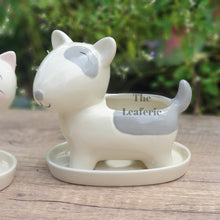 Load image into Gallery viewer, The Leaferie Simba Cat and dog Planter with tray. ceramic material