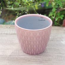 Load image into Gallery viewer, The Leaferie Thelon red flowerpot. ceramic material