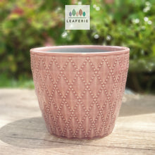 Load image into Gallery viewer, The Leaferie Thelon red flowerpot. ceramic material