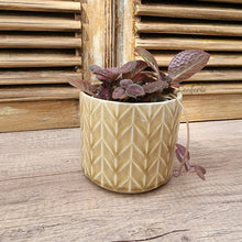 Load image into Gallery viewer, Pace Pot