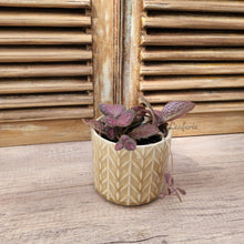 Load image into Gallery viewer, Pace Pot