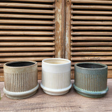 Load image into Gallery viewer, The Leaferie Savoy Flowerpot. 3 colours