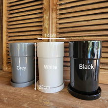 Load image into Gallery viewer, The Leaferie Petrus tall plant pot with tray