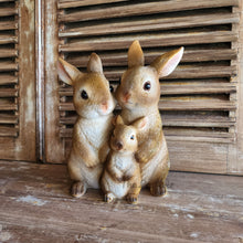Load image into Gallery viewer, The Leaferie cinnabun rabbit garden decoration . bunny family made from resin. front view close up