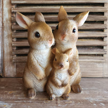 Load image into Gallery viewer, The Leaferie cinnabun rabbit garden decoration . bunny family made from resin. front view close up