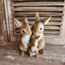 Load image into Gallery viewer, The Leaferie cinnabun rabbit garden decoration . bunny family made from resin. front view