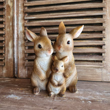 Load image into Gallery viewer, The Leaferie cinnabun rabbit garden decoration . bunny family made from resin. front view