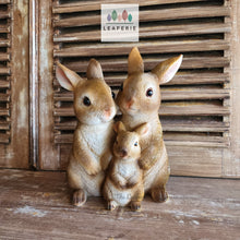 Load image into Gallery viewer, The Leaferie cinnabun rabbit garden decoration . bunny family made from resin. front view