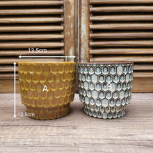 Load image into Gallery viewer, Polie Flowerpot