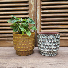 Load image into Gallery viewer, Polie Flowerpot