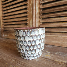 Load image into Gallery viewer, Polie Flowerpot