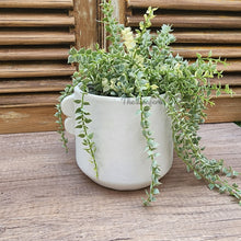 Load image into Gallery viewer, The Leaferie tiber white plant pot . ceramic material