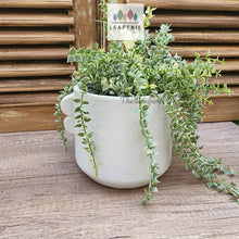 Load image into Gallery viewer, The Leaferie tiber white plant pot . ceramic material