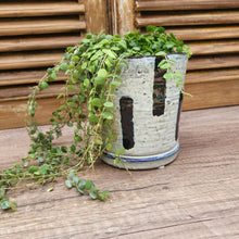 Load image into Gallery viewer, The Leaferie Chienti plant pot . ceramic planter. front view with plant