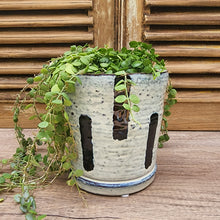 Load image into Gallery viewer, The Leaferie Chienti plant pot . ceramic planter. front view with plant close up